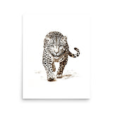 Wild Grace - Framed White Tiger Art - 16″×20″ - Paper Posters