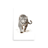 Wild Grace - Framed White Tiger Art - 20″×30″ - Paper Posters