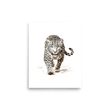 Wild Grace - Framed White Tiger Art - 8″×10″ - Paper Posters