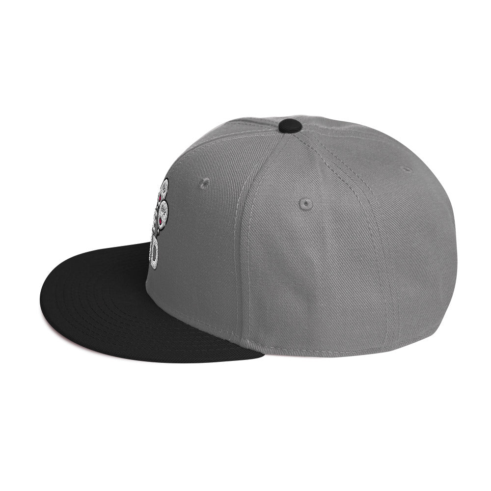 Rare Find Snapback Hat - A Tribute to Best Friends - - Hats