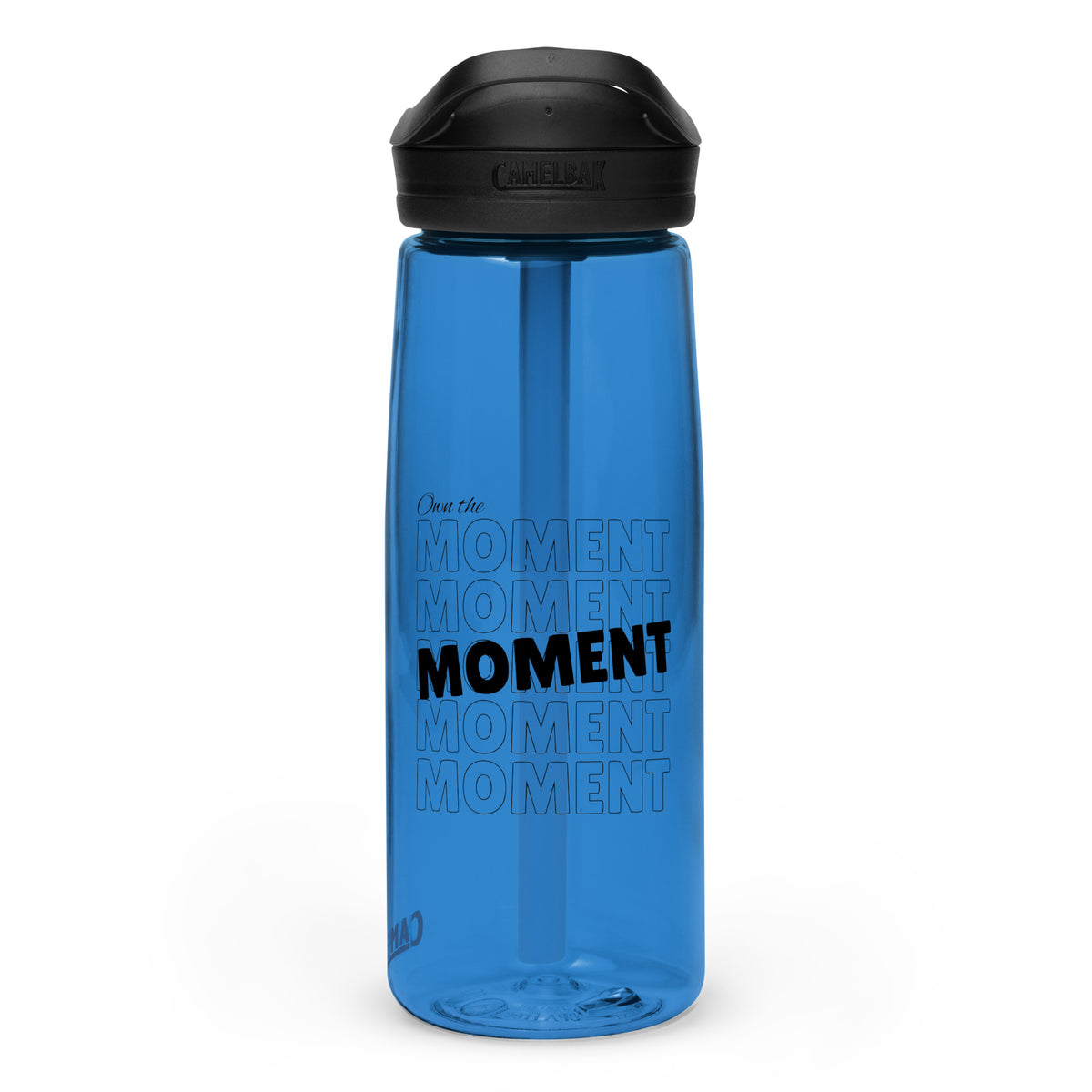 Seize the Day - Stylish 'Own the Moment' Water Bottle - - Water Bottles