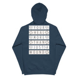 Healing Beyond Wounds - Celebrate Nurses’ Compassion - - Hoodies